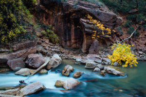 The Virgin River flows along Zion Canyon in fall